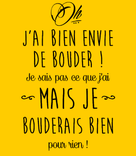 Motif T-shirt Humour - J'ai bien envie de bouder personnalisé sur vêtement