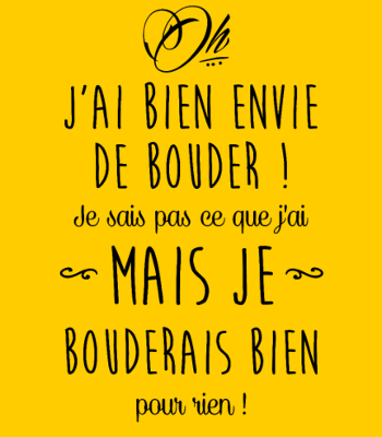 T-shirt Humour - J'ai bien envie de bouder