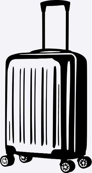 valise vectoriel