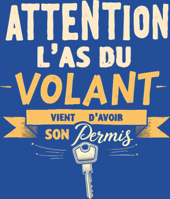 Permis de Conduire - Humour Jeune Conducteur