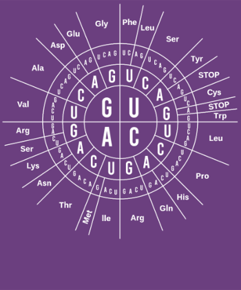 Biologie Génétique : Le Code Soleil - Humour Scientifique