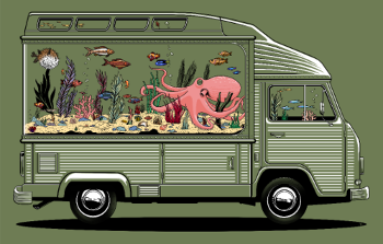 Camperarium : L'Art du Voyage Nomade