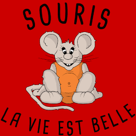Motif T-shirt Souris : La Vie est Belle ! personnalisé sur vêtement