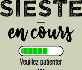 Motif Sieste en cours, ne pas déranger ! personnalisé sur vêtement