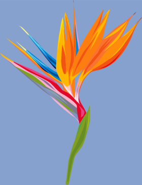 Plongez dans une ambiance tropicale avec ce motif éclatant de fleur d'oiseau de paradis. Ses couleurs vives et sa forme unique apporteront u...