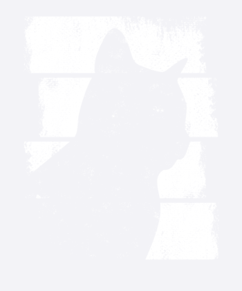 Katze