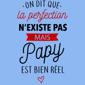 Motif Papy Parfait : La Perfection Faite Homme personnalisé sur vêtement
