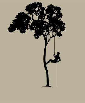 Montrez votre passion pour l'escalade d'arbres et l'abseil avec ce t-shirt unique. Idéal pour grimpeurs, professionnels et amateurs de sensa...