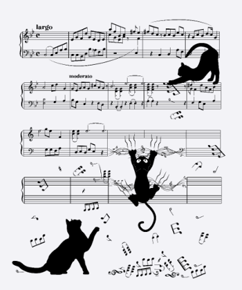 Katze Musikinstrument Cat Kätzchen Notenschlüssel