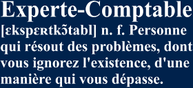 Offrez le t-shirt 'Définition : Experte-Comptable' ! Un motif humoristique pour les pros des chiffres et un cadeau original pour femme. Fier...
