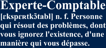 Définition de l'Experte-Comptable | T-Shirt Humour Métier Femme