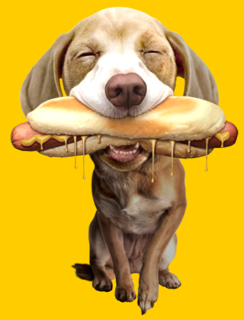 Chien Gourmand Hotdog