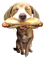 Chien Gourmand Hotdog