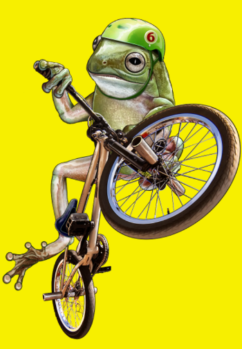 Grenouille BMX : Le Rider des Marais