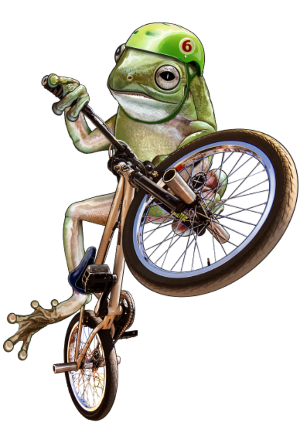 Motif Grenouille BMX : Le Rider des Marais à imprimer