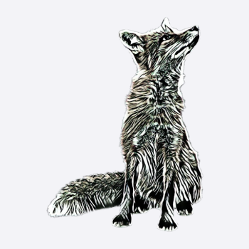 Fuchs
