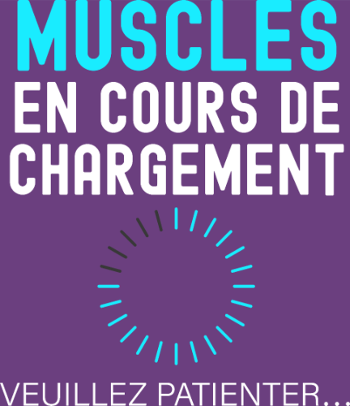 Muscles en Cours de Chargement