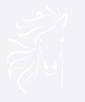 Horse for Girls Horse Lovers Gift for Ladies