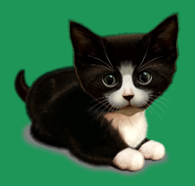 Motif Chat Mignon : Personnalisable personnalisé sur vêtement
