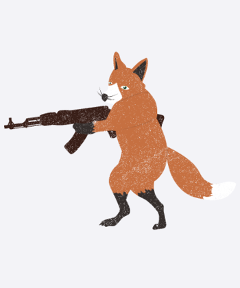 Foxes Fight Back Animal Rights Hunting