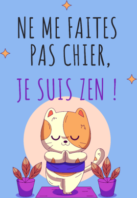 Affichez votre humour zen avec notre t-shirt "Je suis zen, ne me faites pas chier !". Confortable, original, parfait pour les esprits décont...