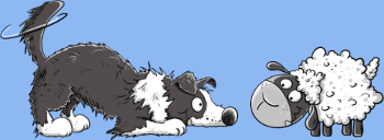 T-shirt Border Collie et son Mouton Rigolo - Humour Chien
