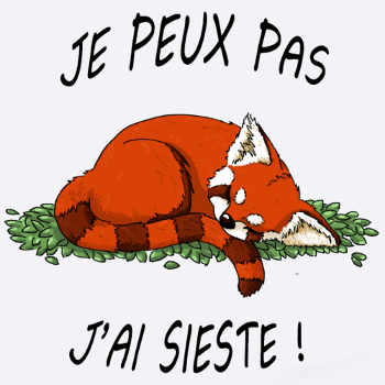 Je peux pas j'ai sieste - Panda Roux