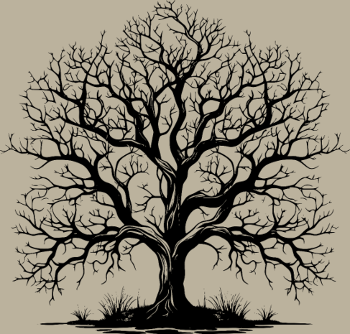 Arbre d'Automne sans Feuilles
