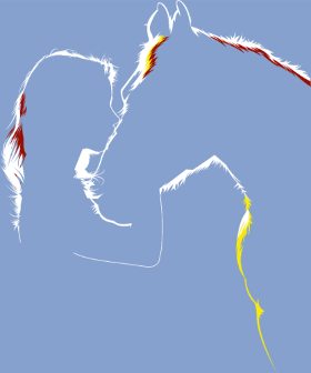 Exprimez votre passion pour l'équitation avec ce motif abstrait et moderne. Une silhouette élégante de cavalière, capturant la grâce du mouv...