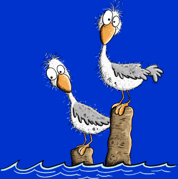 Mouettes drôles et mer du Nord