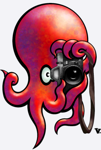 Poulparazzi - Le paparazzi des fonds marins