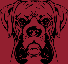 Motif Jeune Boxer, Chien Combattant personnalisé sur vêtement