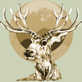 Motif Cerf Majestueux personnalisé sur vêtement