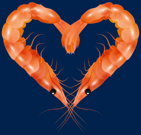 Motif Cœur de Crevettes Roses personnalisé sur vêtement