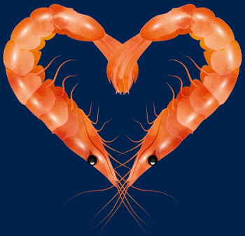 Cœur de Crevettes Roses