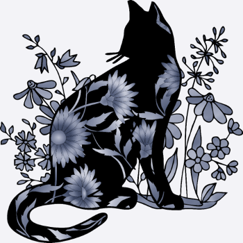 Kot