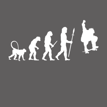 Évolution du Skater