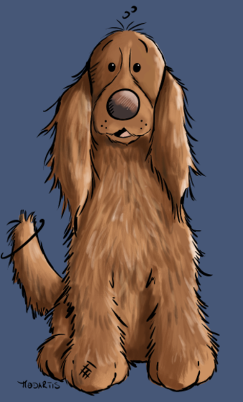 Cocker Spaniel en Position Assise - Dressage Chien