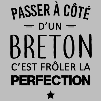 Frôler la Perfection : L'Humour Breton