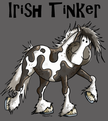 Tracy l'Irish Tinker - Cheval de Rêve Irlandais