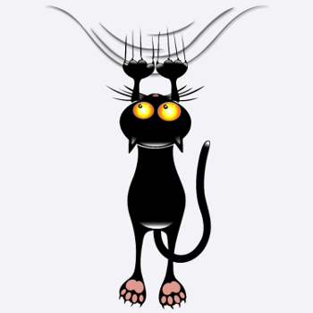 cat scratch