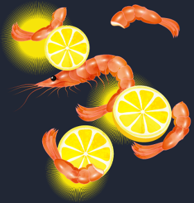 Motif Crevettes et Citron Frais personnalisé sur vêtement