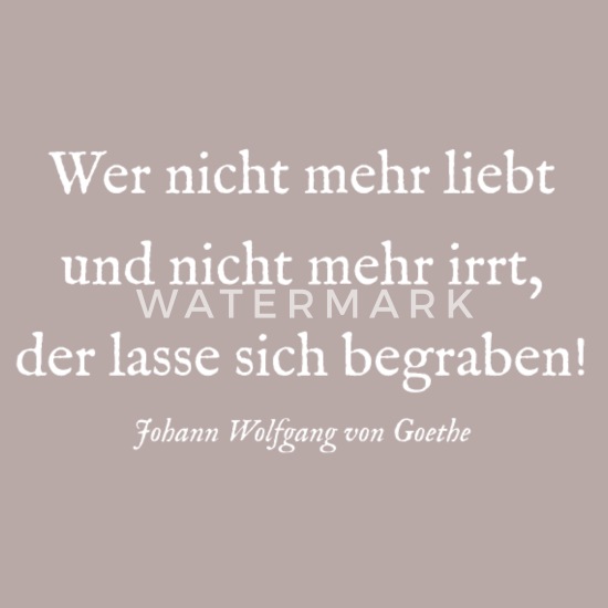 Johann Wolfgang Goethe Zitat Spruch Liebe Kissenhulle Spreadshirt