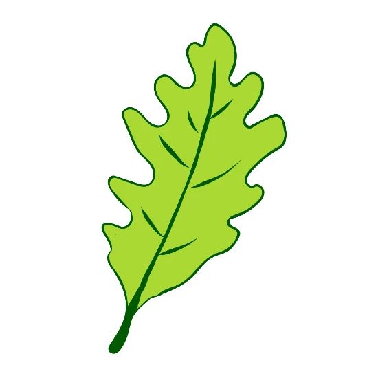 eiche eichenblatt baum buttons klein spreadshirt