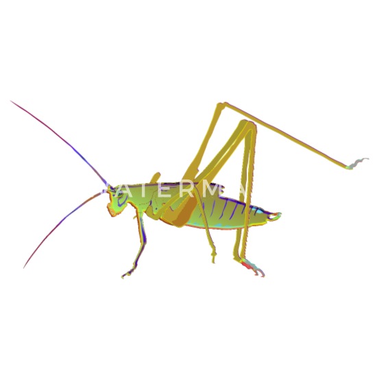 Grashüpfer 8 cm Insekten Collecta 88352 