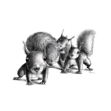 Eichhörnchen Magnet: neugieriges Kletter squirrel Kühlschrank 