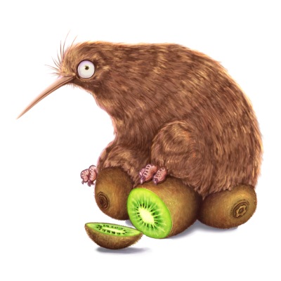 Kiwi on kiwi fruit - Sticker