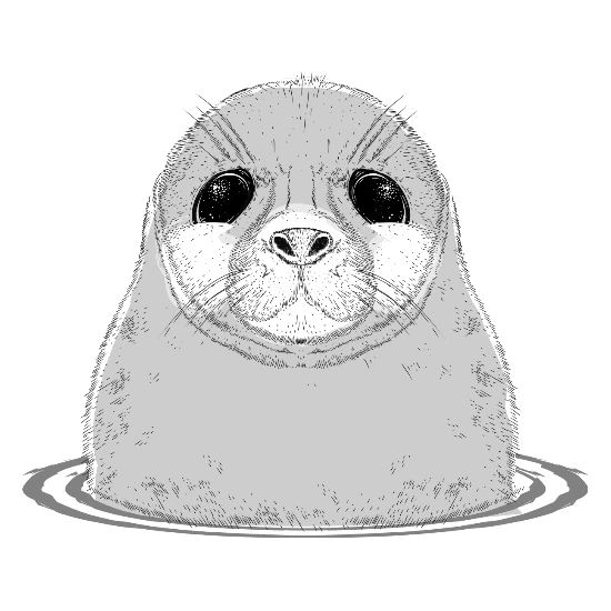 Un Joli Bebe Phoque Dans L Eau Mug Spreadshirt