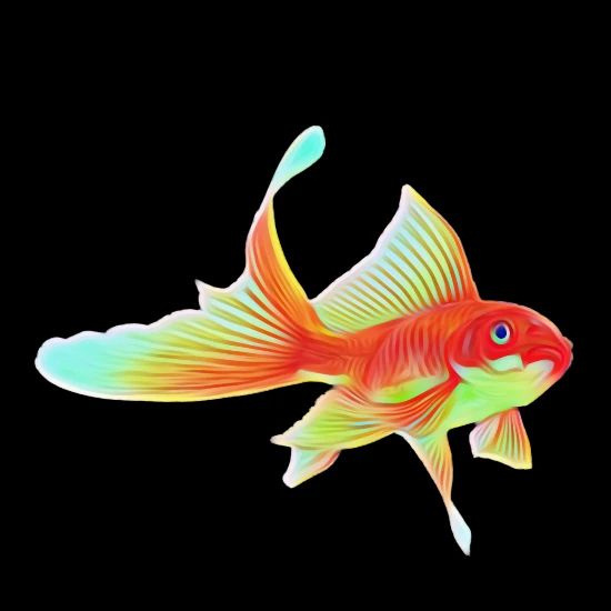 Poisson Rouge Body Bebe Bio Manches Courtes Spreadshirt