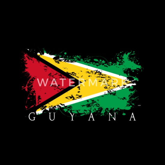 Guyana Bandera Para Mujer T-Shirt Georgetown América del sur país viajes de regalo